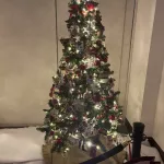 photo-12-13-24-1-16-10-pm