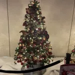 photo-12-13-24-1-16-19-pm