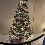 photo-12-13-24-1-16-26-pm