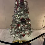 photo-12-13-24-1-16-41-pm