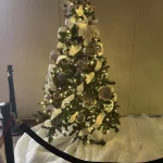 photo-12-13-24-1-16-52-pm