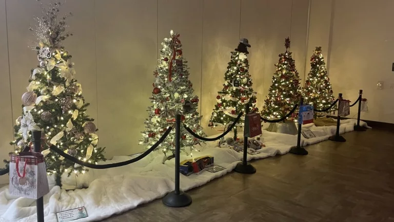 photo-12-13-24-1-19-33-pm-2