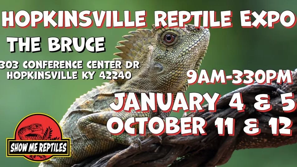 reptile-expo-1