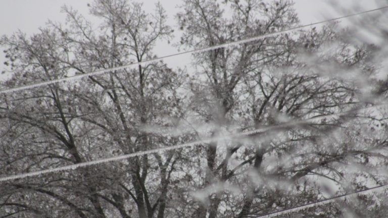 photo-jan-05-2025-00-00-34