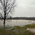 princeton-road-in-hopkinsville