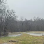 hopkinsville-flood-1