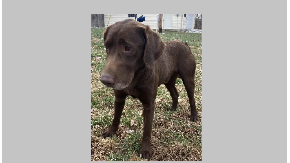 found-lab