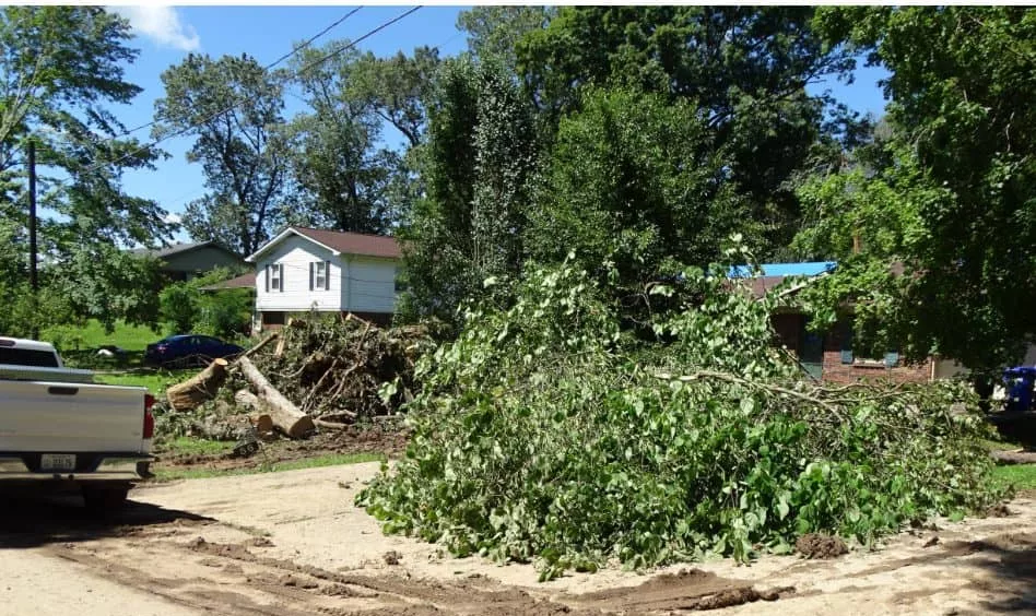 photo-mar-07-2025-11-10-29