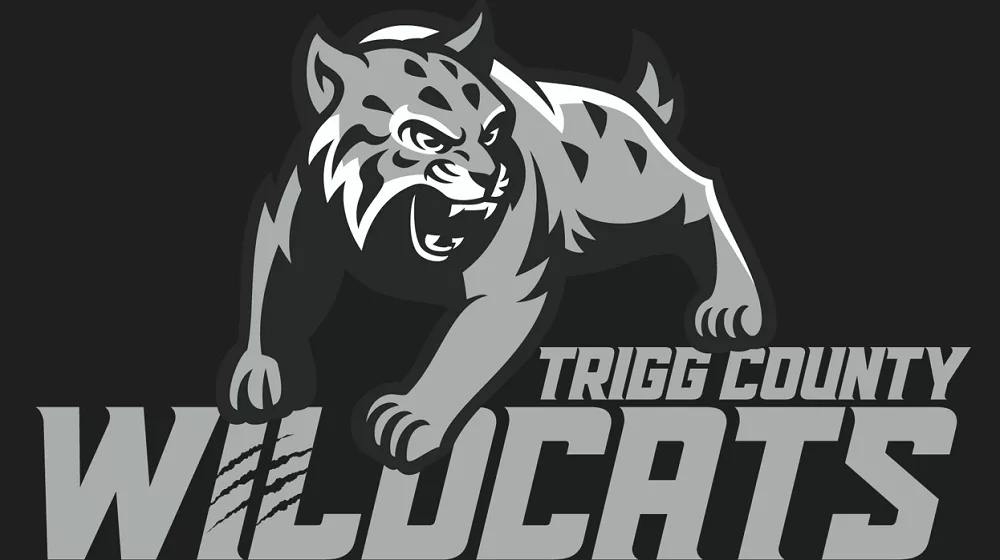 trigg-graphic996903