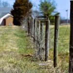 031125-perpetrator-15