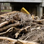 031925-little-river-5