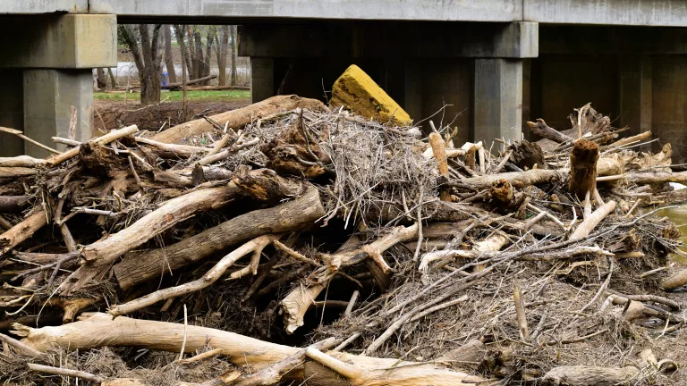 031925-little-river-5