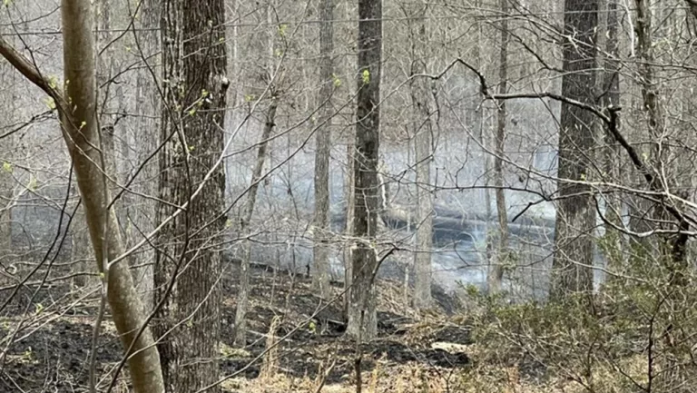 03-29-25-lbl-wildfire