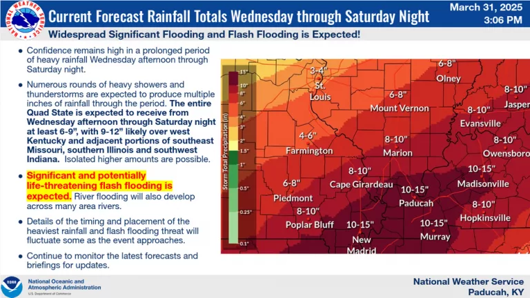 webp-net-resizeimage-1-9