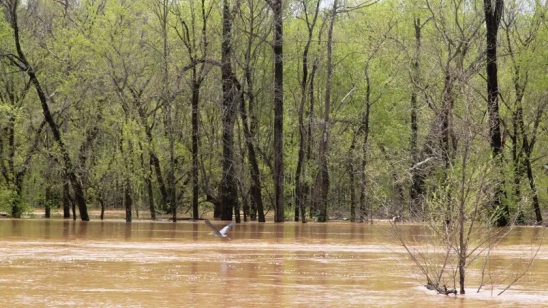 040425-flooding-again-14