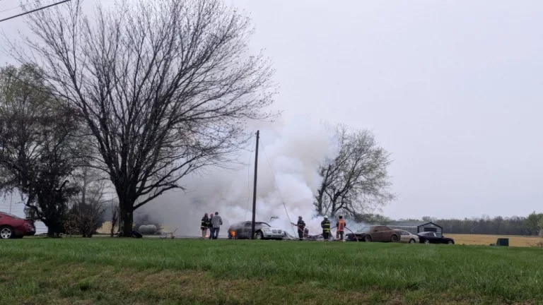 pxl_20250405_120702193-mp