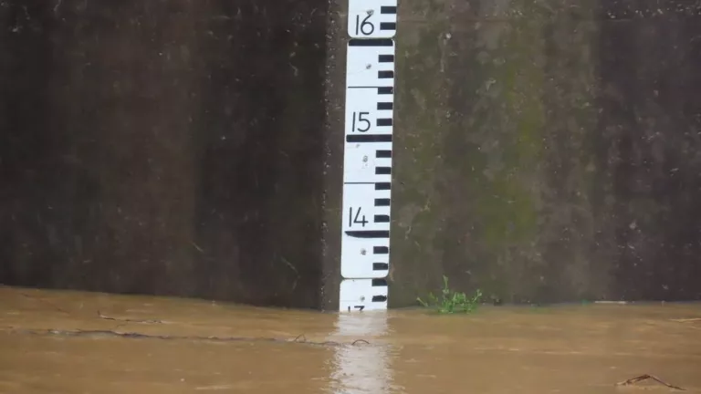 webp-net-resizeimage-1-10