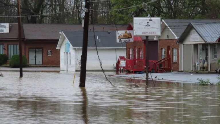 img_8394_copy_1000x563