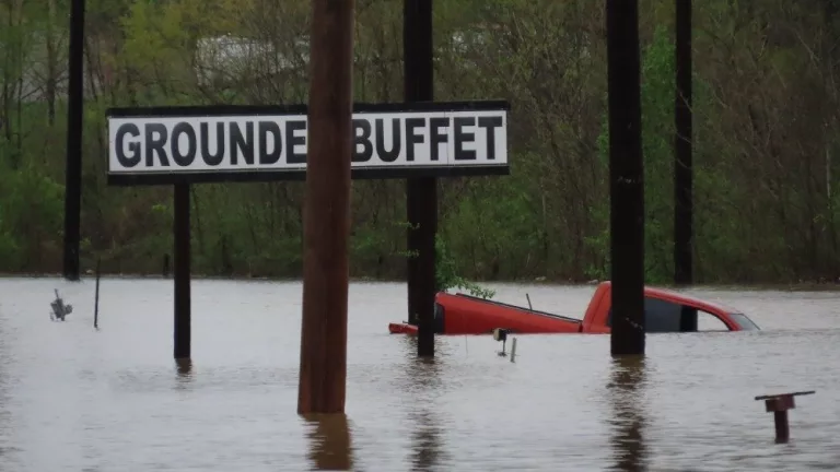 img_8395_copy_1000x563