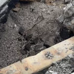 img_20250406_145816: Steven Hoover Lonnie Walker highway