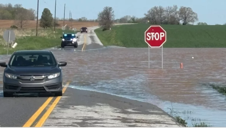 screenshot_20250407-120134-2