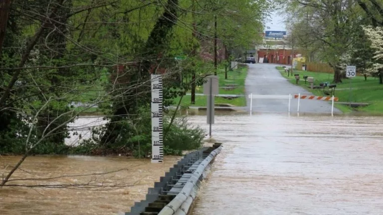 webp-net-resizeimage-2025-04-07t180615-582