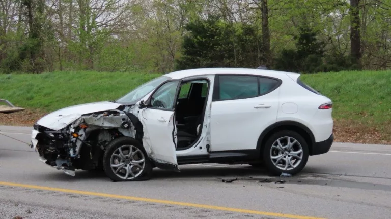 img_8441_copy_1000x563