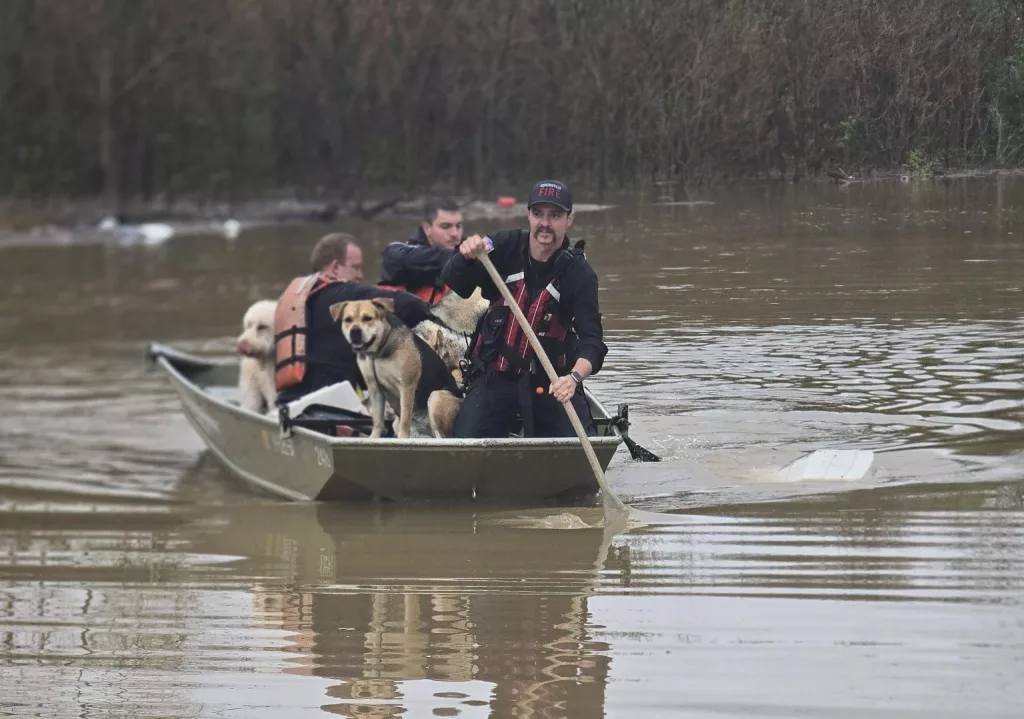 1928229195406353305-2