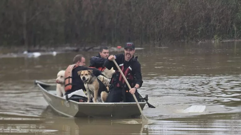 1928229195406353305-2