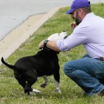 041725-hams-for-heroes-3