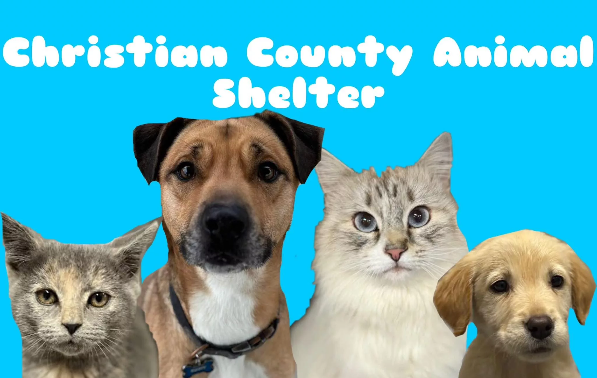 492006983_1141227611372978_4485354456173820022_n