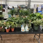 cc-garden-outdoor-living-expo-22