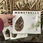 cc-garden-outdoor-living-expo-23