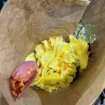 cc-garden-outdoor-living-expo-24