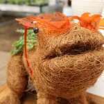 christian-co-ffa-greenhouse-2025-1