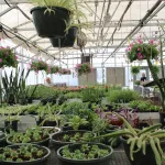 christian-co-ffa-greenhouse-2025-2