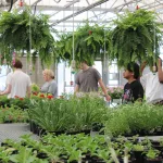 christian-co-ffa-greenhouse-2025-29