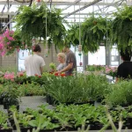 christian-co-ffa-greenhouse-2025-30