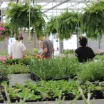 christian-co-ffa-greenhouse-2025-31