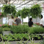 christian-co-ffa-greenhouse-2025-32
