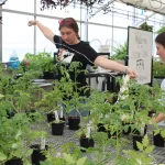 christian-co-ffa-greenhouse-2025-5