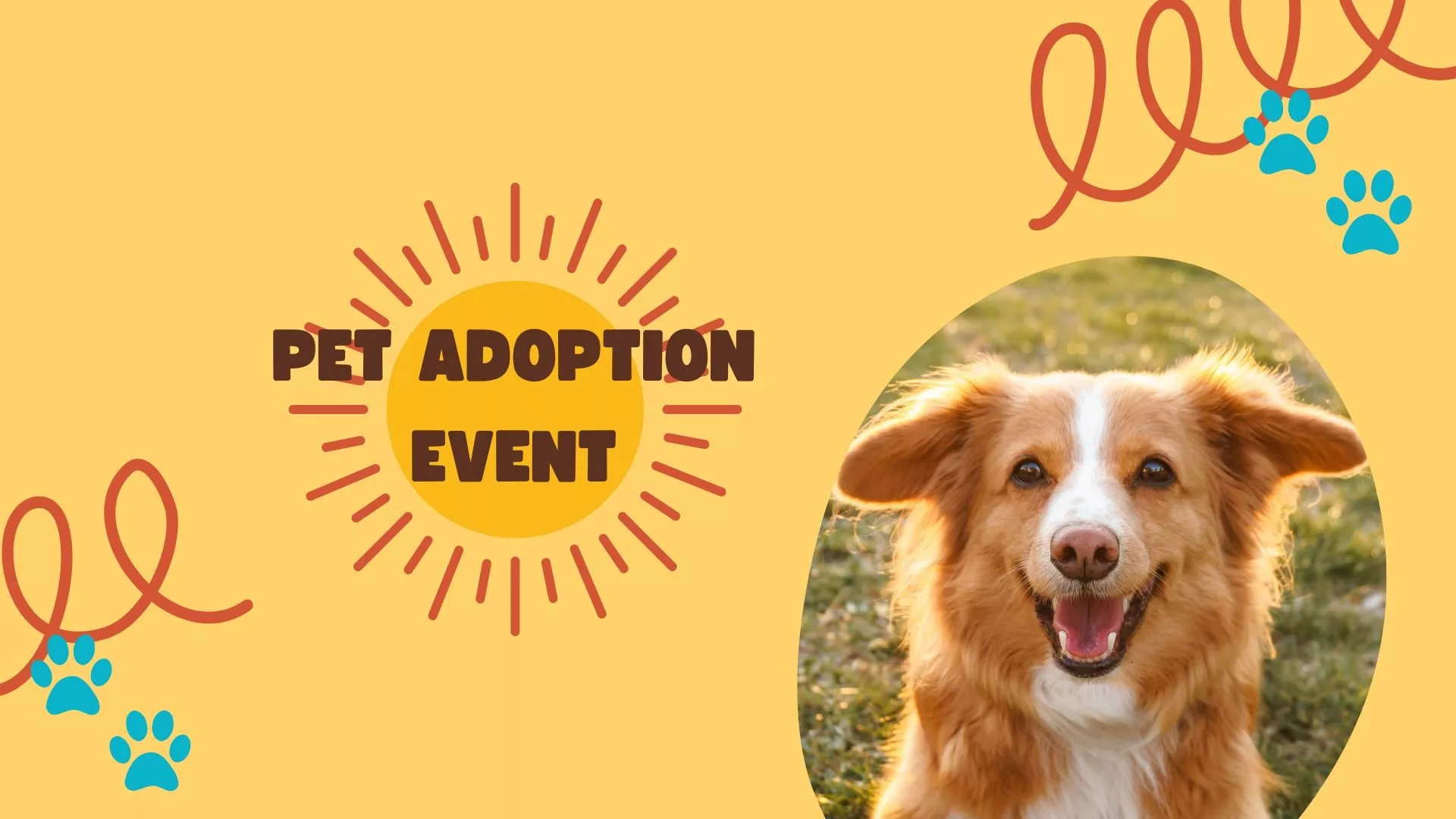 492001998_1090922119721632_2440000214659323506_n