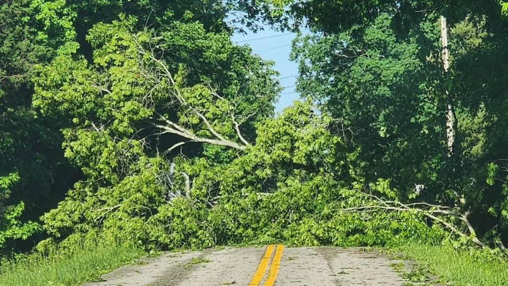 lock-e-road-bayview-drive-canton-7