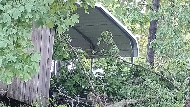 img_20250517_063605698