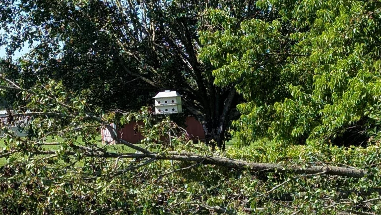 inbound6380697864940913987