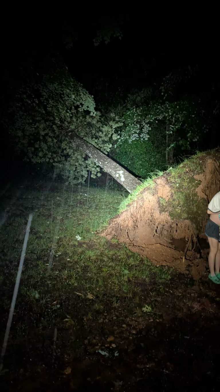 inbound4017481782786614558-1