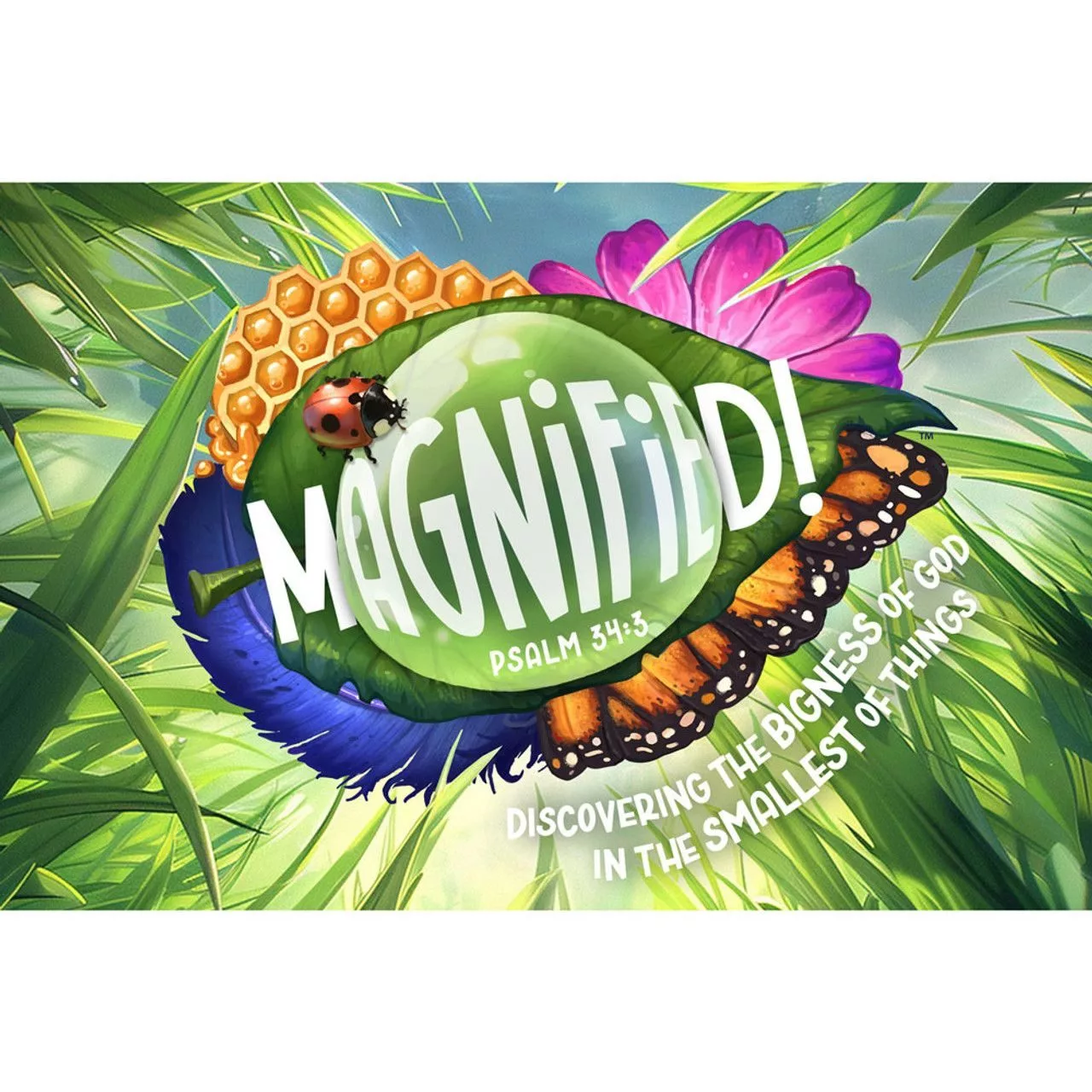 494677515_999505915624592_2006663073889382969_n