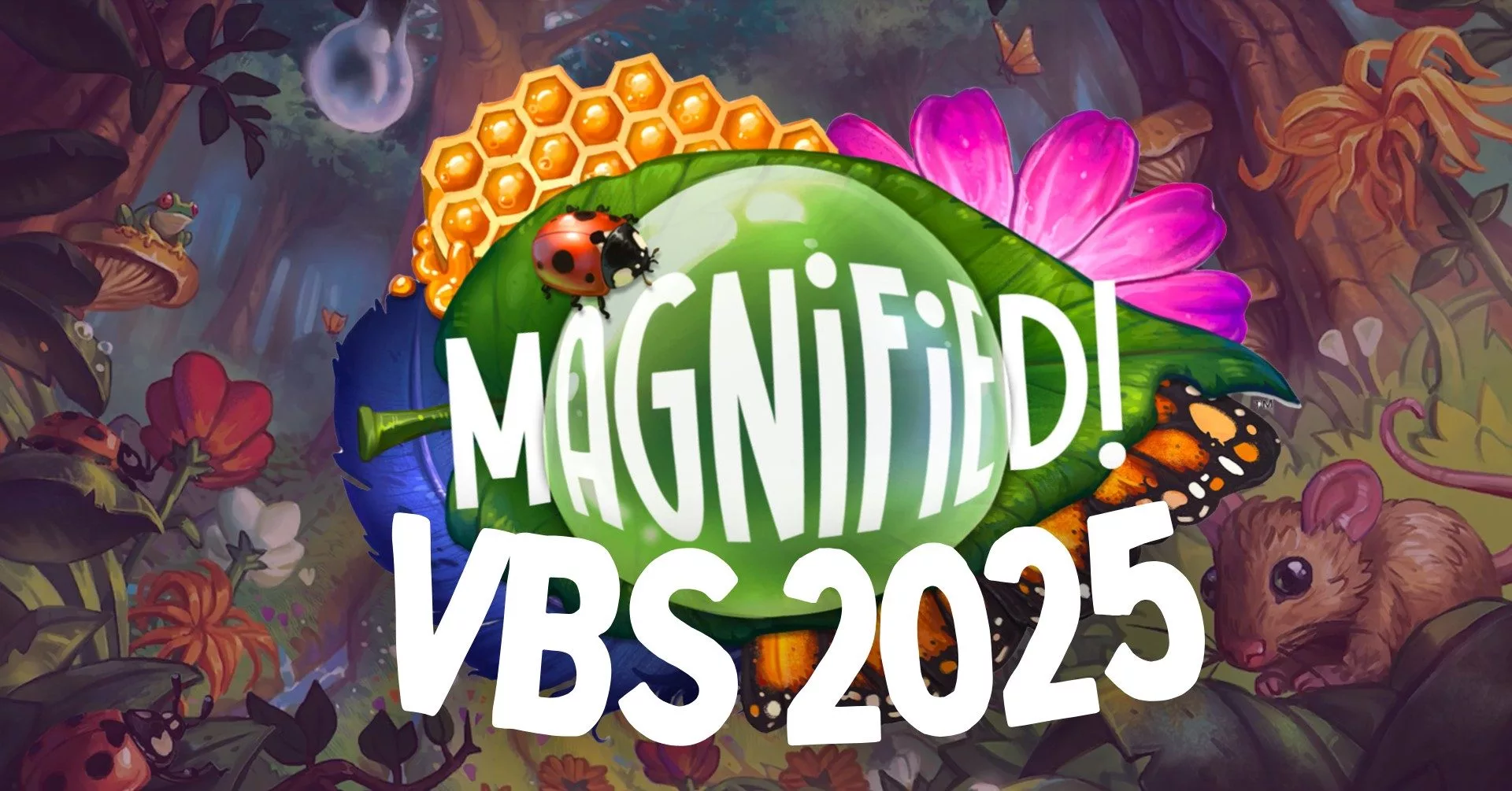 496197379_1134539318713046_8587929608892461152_n