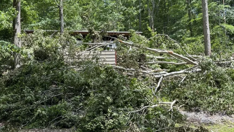 photo-may-19-2025-1-45-19-pm-1