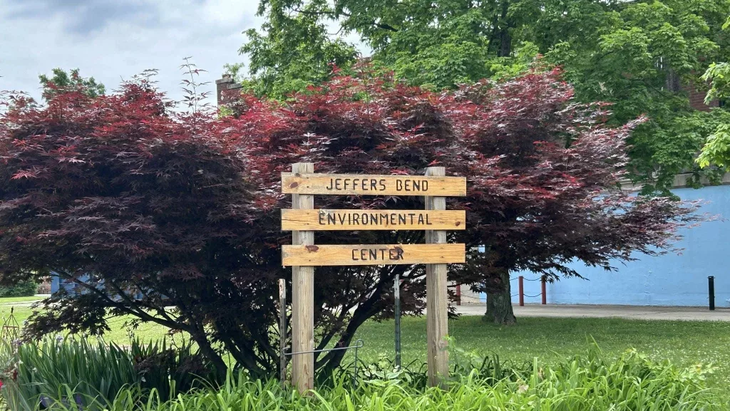 wireready_05-20-2025-01-06-40_a116_20250520010449333-7